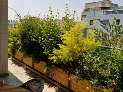 תמונות אחרי מספר חודשים של צמחייה